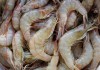 Прямой поставщик морепродуктов из Ирана оптом