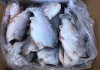 Фото Прямой поставщик морепродуктов из Ирана оптом